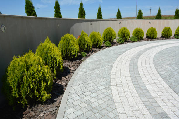 Trusted Wolf Point, MT Driveway Pavers Experts